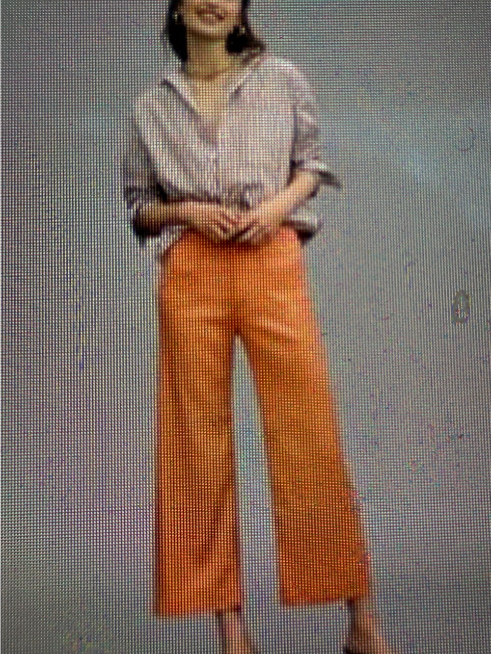 Anthropologie Maeve Colette Linen Pants